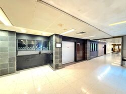 Cuppage Plaza (D9), Shop House #558117481